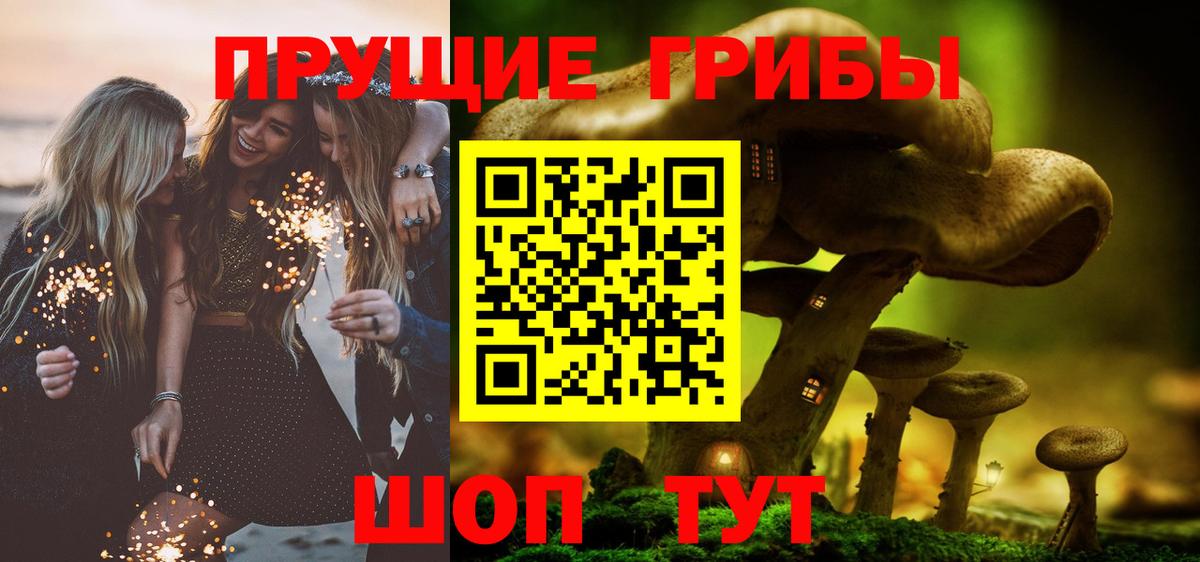 Южноуральск  Галлюциногенные грибы Psilocybe  Вход с VPN 